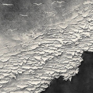  palette - D Black White Wellen Wabi Sabi von Palettenmesser Strandvögel Möwe Küste Detail